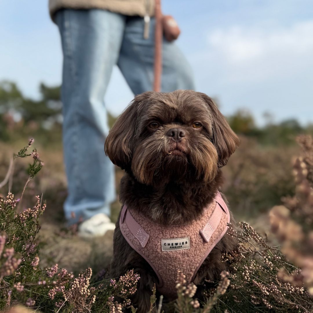 Instaptuig - Cosy Rosy