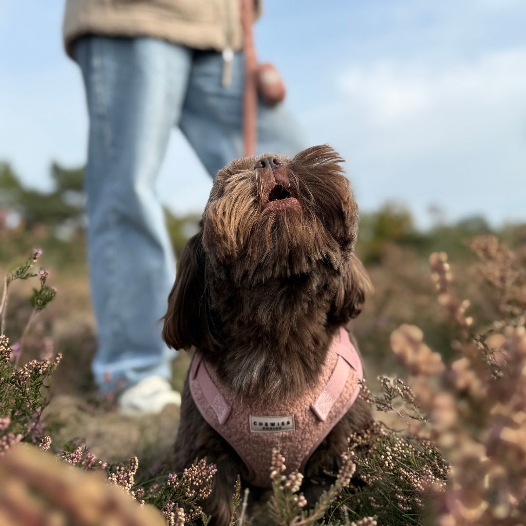 Wandelset - Cosy Rosy