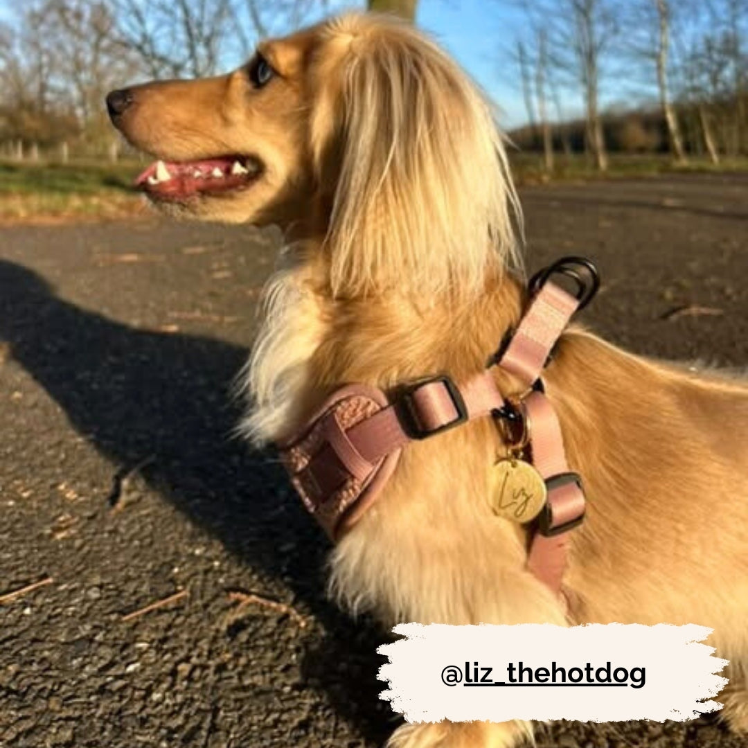 Wandelset - Cosy Rosy