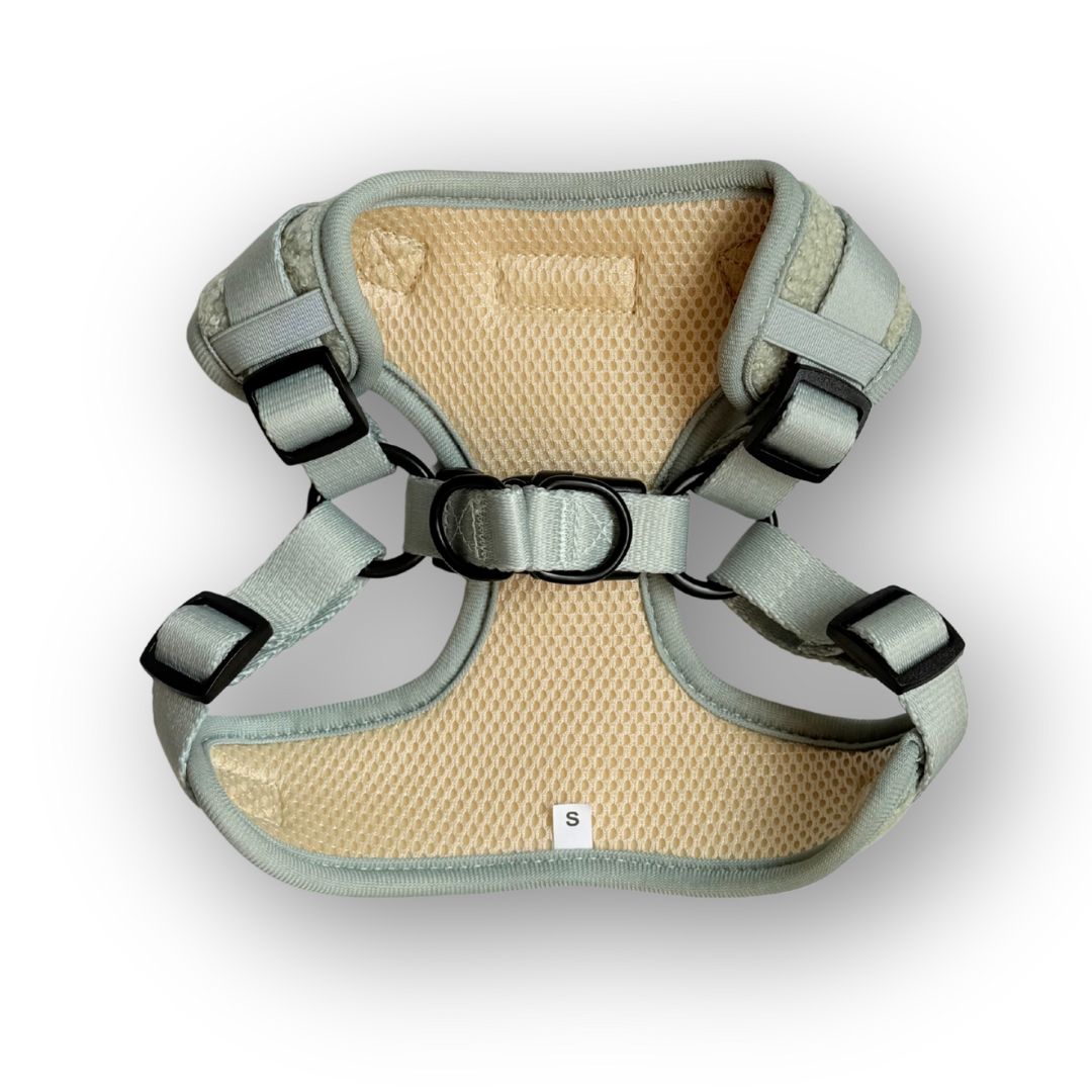 instaptuigje achterkant