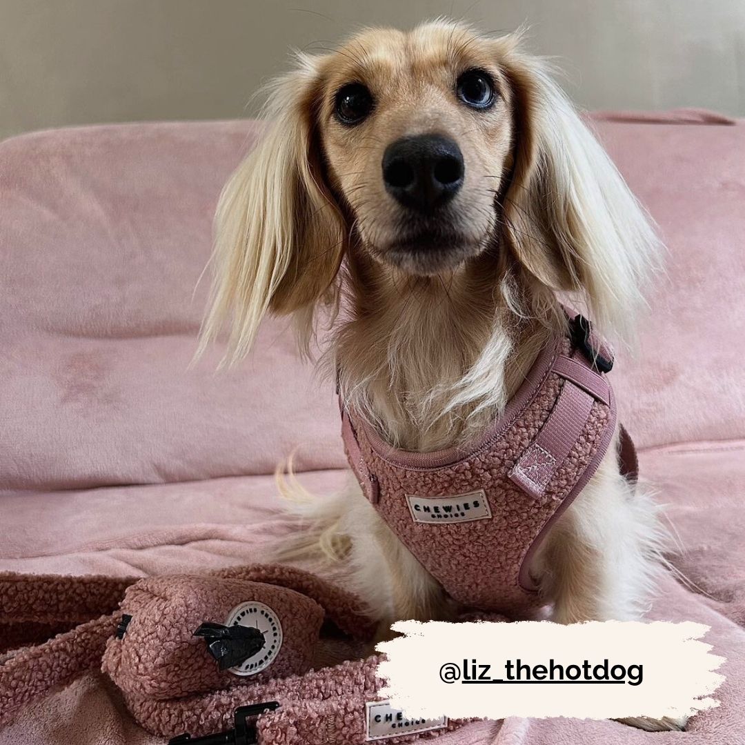 Wandelset - Cosy Rosy