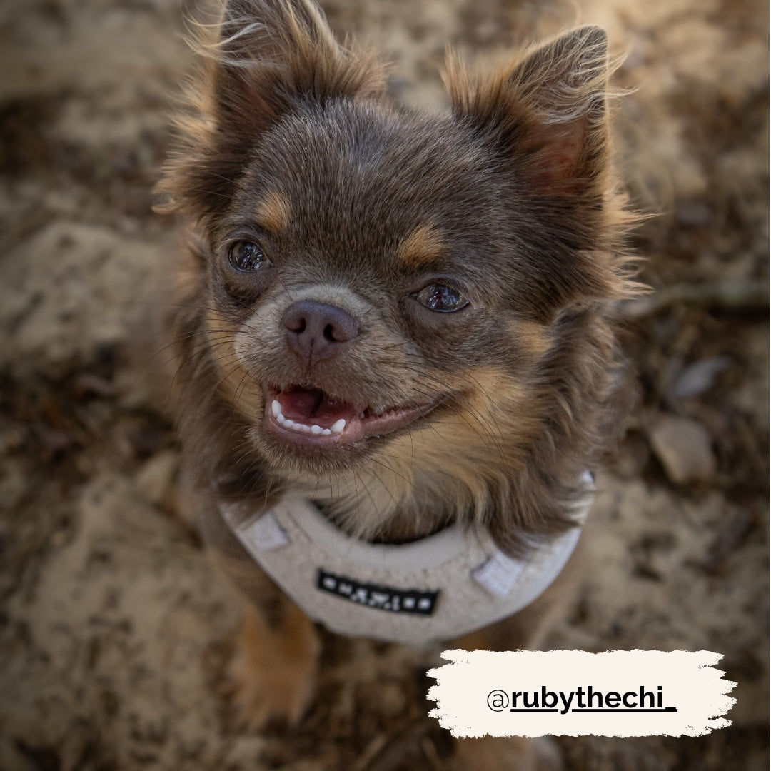 Instaptuig - Cuddly Cloud