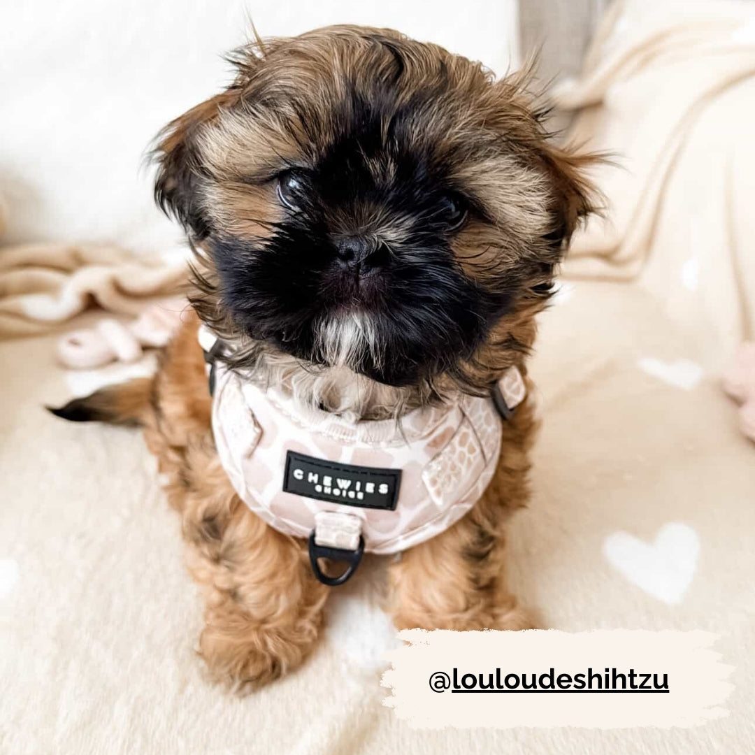 Instaptuig - Savanna Stroll