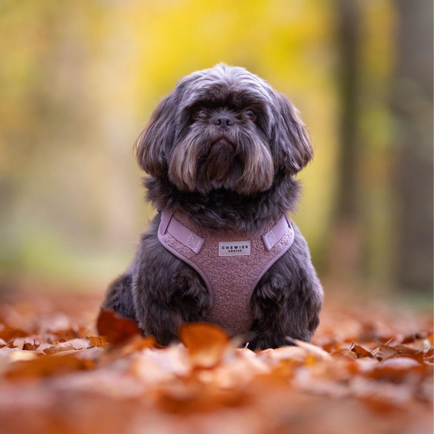 Wandelset - Cosy Rosy