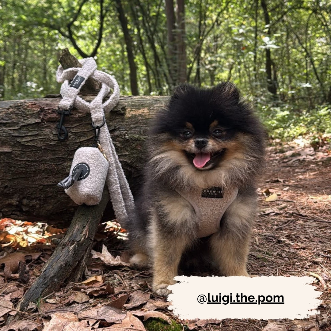 Instaptuig - Cuddly Cloud