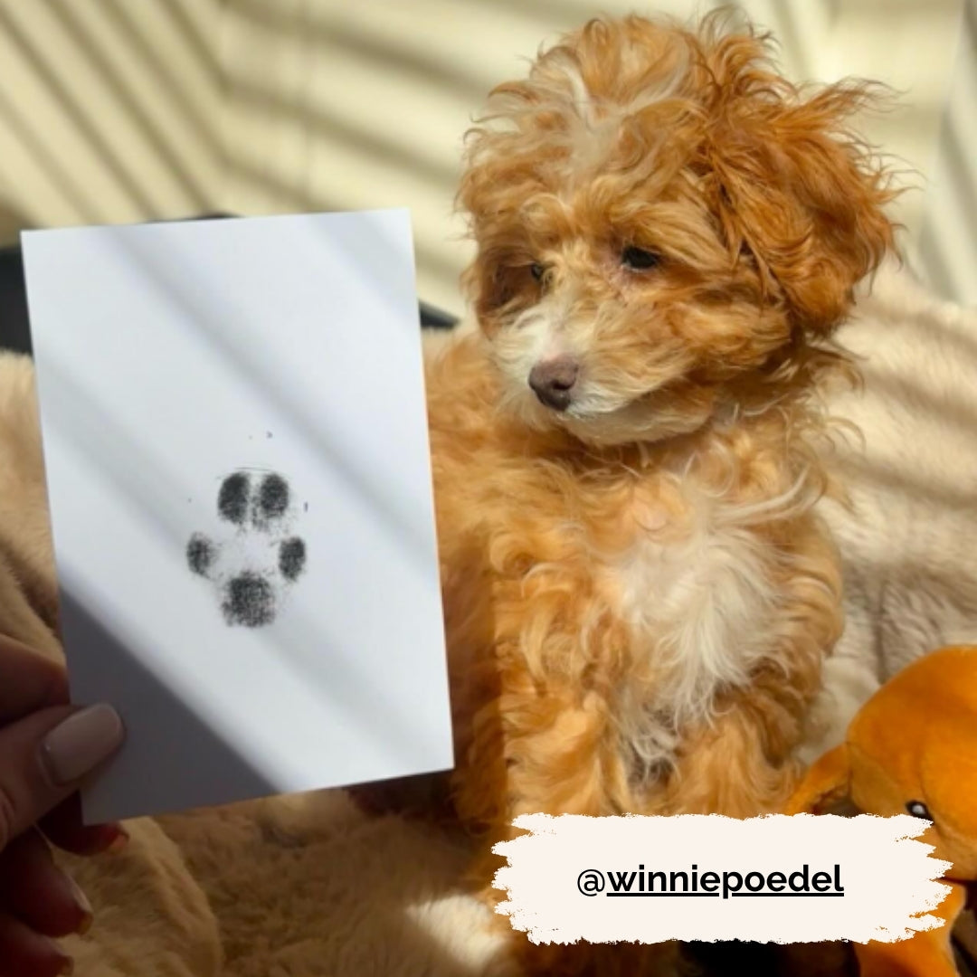 Inktloze Pootafdruk Pad