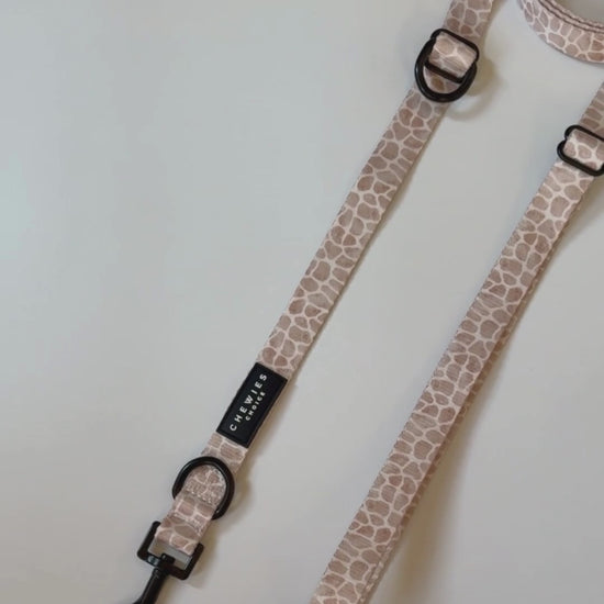 handsfree hondenriem