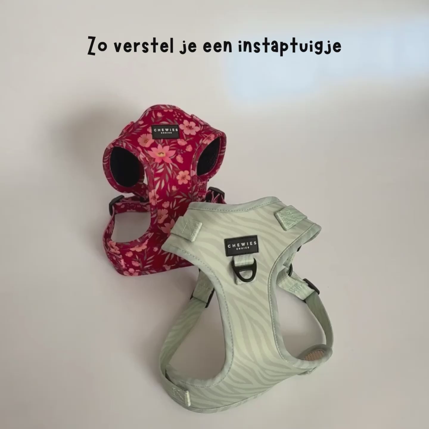 instaptuigje verstellen