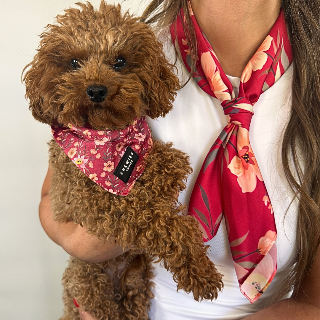 Scarf - FlowerPup