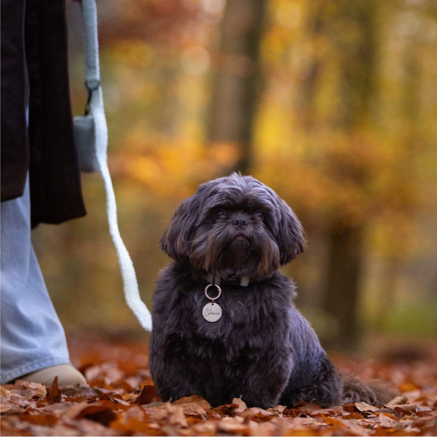 Hondenriem - Snuggly Sage