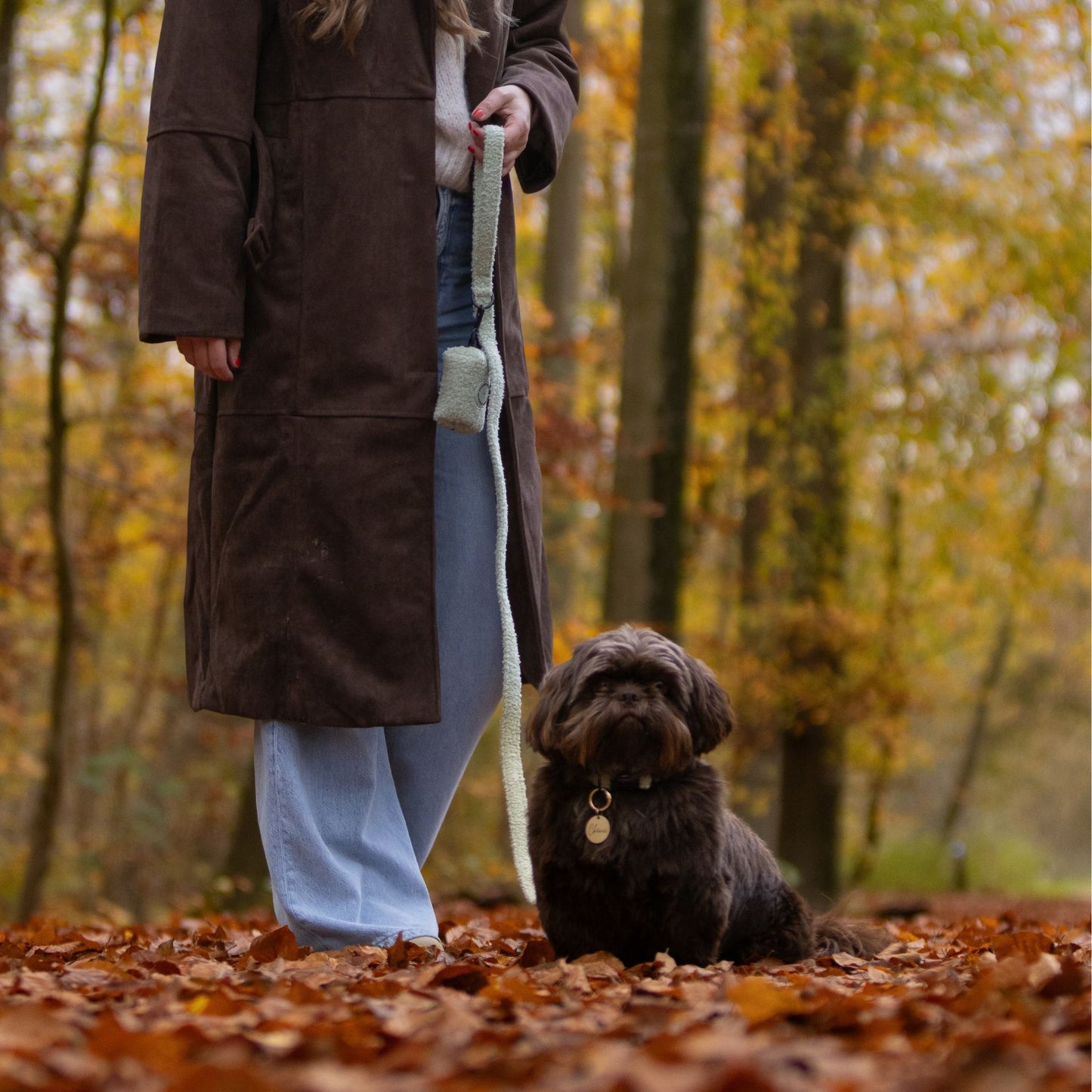 Hondenriem - Snuggly Sage