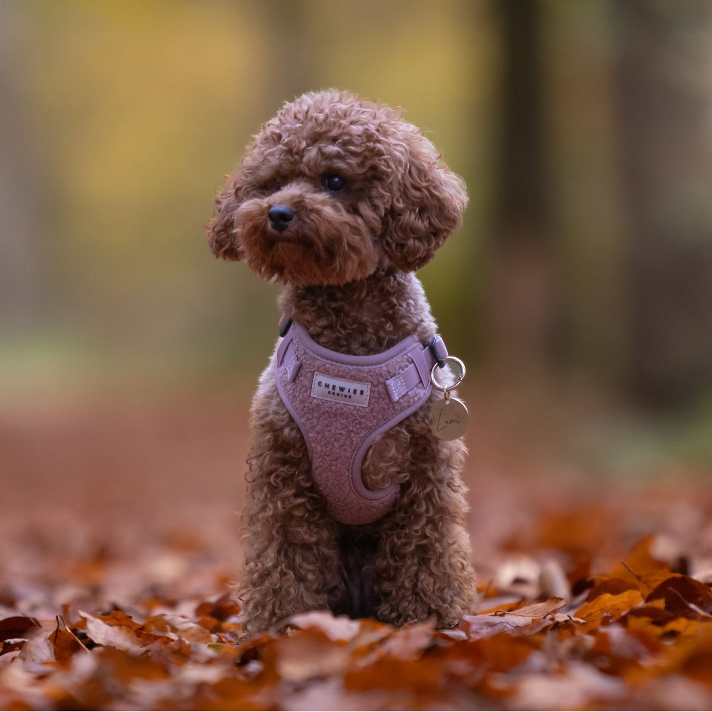 Wandelset - Cosy Rosy