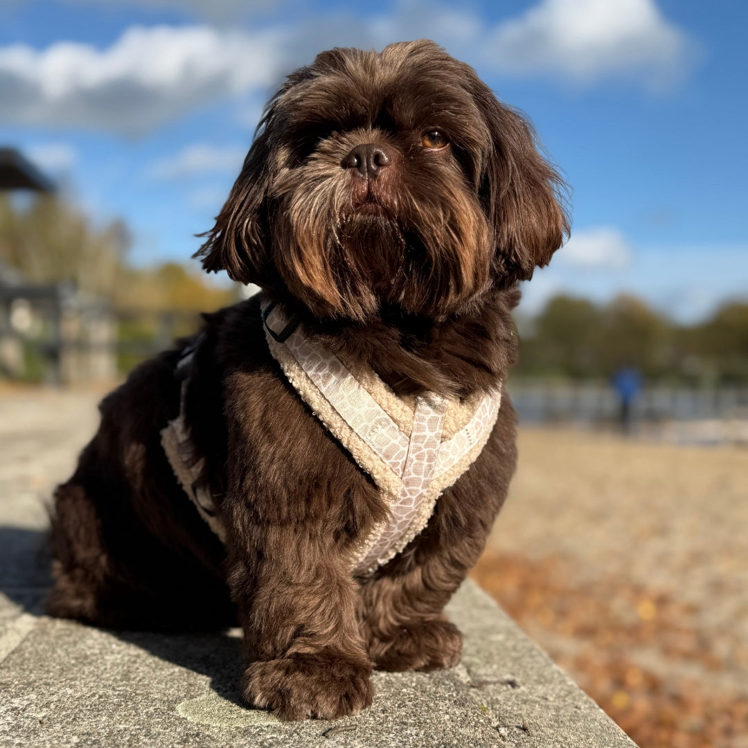 Wandelset - Savanna Snug