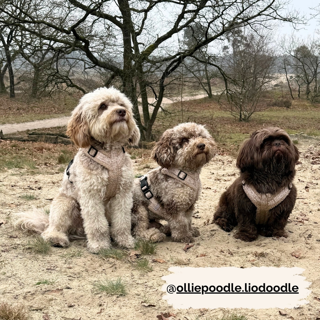 Hondentuig - Savanna Snug